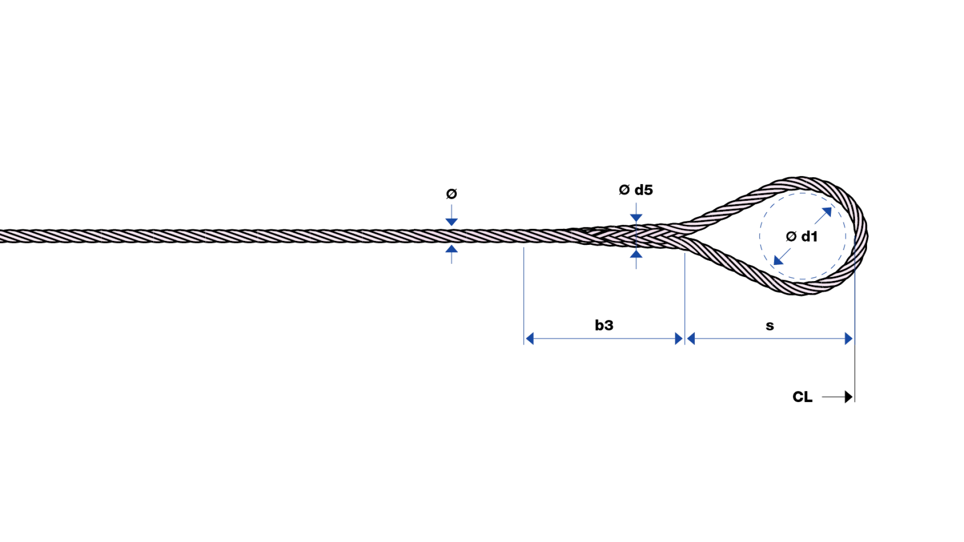 Loop  spliced
