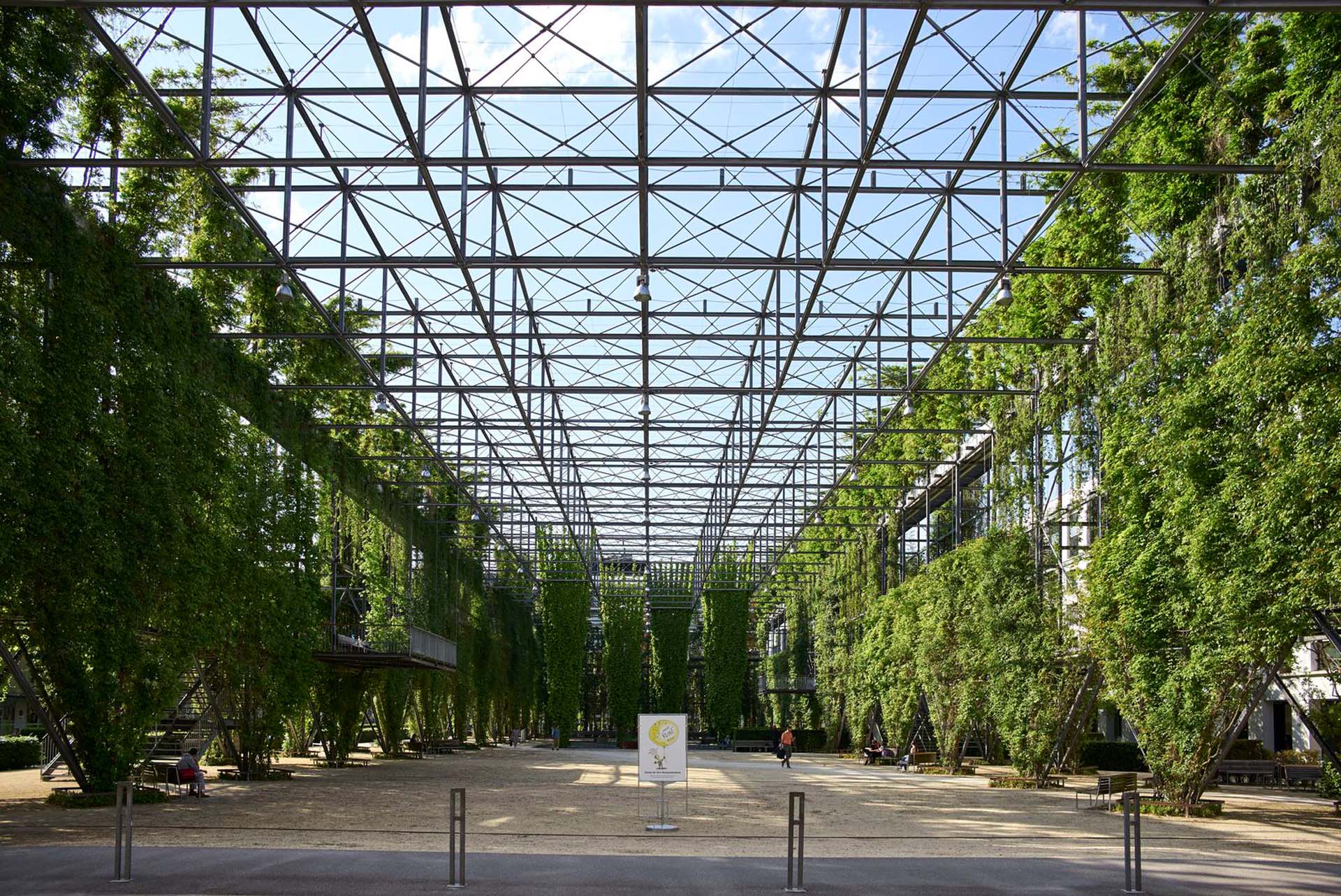 MFO Park